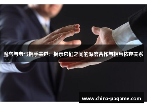 魔鸟与老马携手共进：揭示它们之间的深度合作与相互依存关系