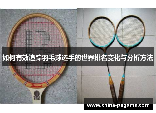 如何有效追踪羽毛球选手的世界排名变化与分析方法