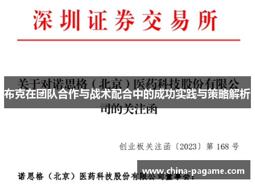 布克在团队合作与战术配合中的成功实践与策略解析