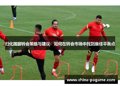 归化国脚转会策略与建议：如何在转会市场中找到最佳平衡点