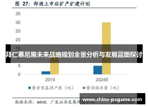 拜仁慕尼黑未来战略规划全景分析与发展蓝图探讨 拜仁慕尼黑未来战略规划全景分析与发展蓝图探讨