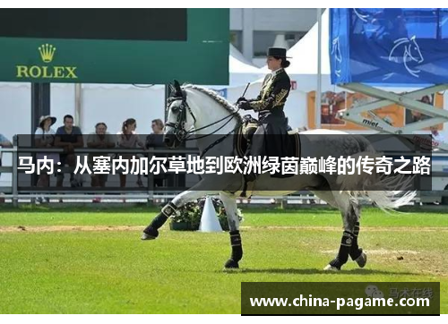 马内：从塞内加尔草地到欧洲绿茵巅峰的传奇之路