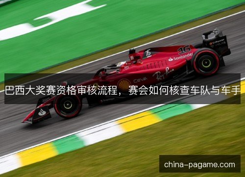 巴西大奖赛资格审核流程,赛会如何核查车队与车手 巴西大奖赛资格审核流程,赛会如何核查车队与车手